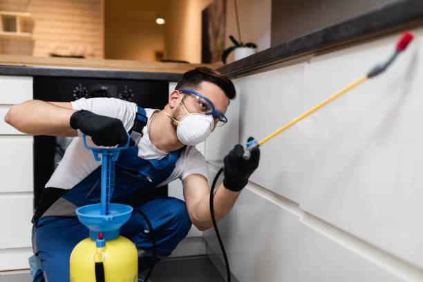 Best Best Pest Control Companies  in Holley, NY