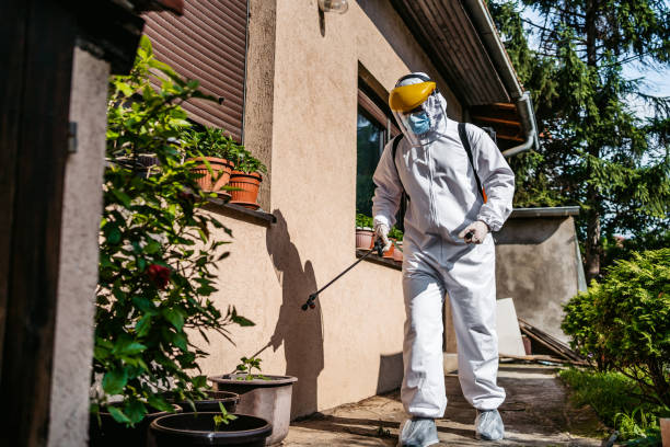 Pest Prevention Services in Holley, NY