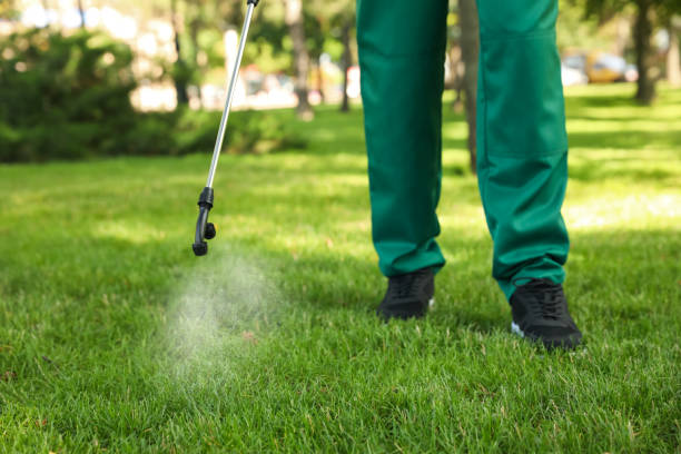 Best Ant Control Services  in Holley, NY