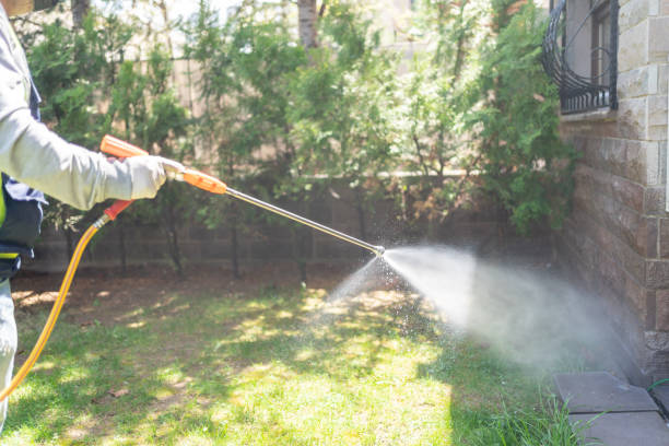Best Best Pest Control Companies  in Holley, NY