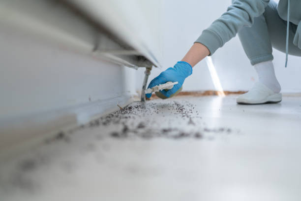 Best Pest Removal Services  in Holley, NY